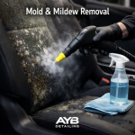 Gloved hand using a steam cleaner on a car seat covered in mold and mildew, with spray bottle and cloth nearby, detailed by AYB Detailing.